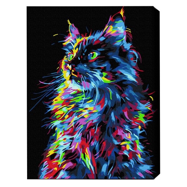 Tablou pe numere Brushme Волшебный кот (BSB0021FC)