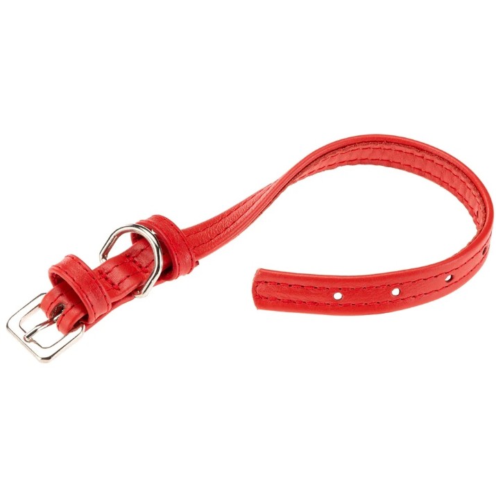 Zgardă Ferplast Vogue Flat CF15/29 Red