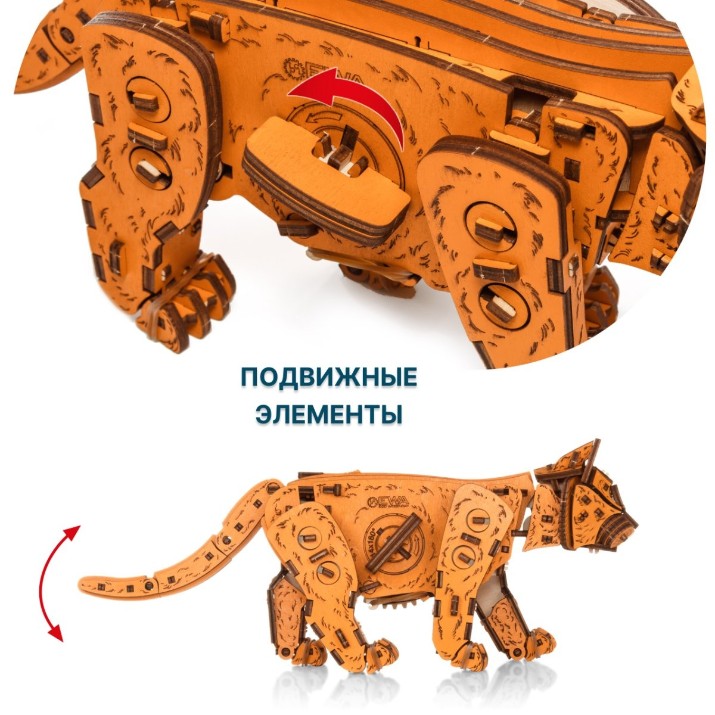 3D-puzzle Ewa Toys Ginger Kitten