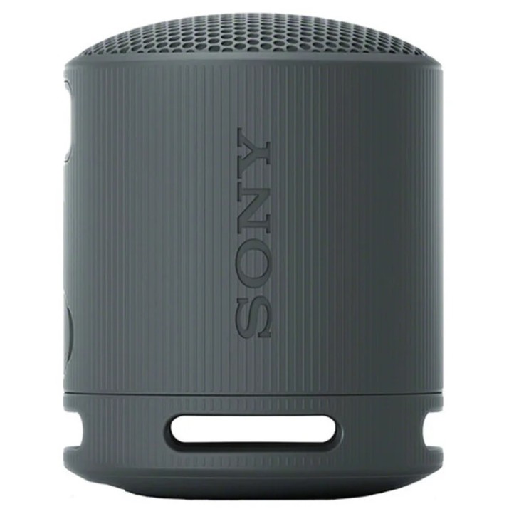 Портативная акустика Sony SRS-XB100 Black