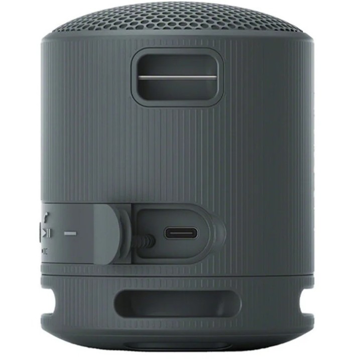 Портативная акустика Sony SRS-XB100 Black