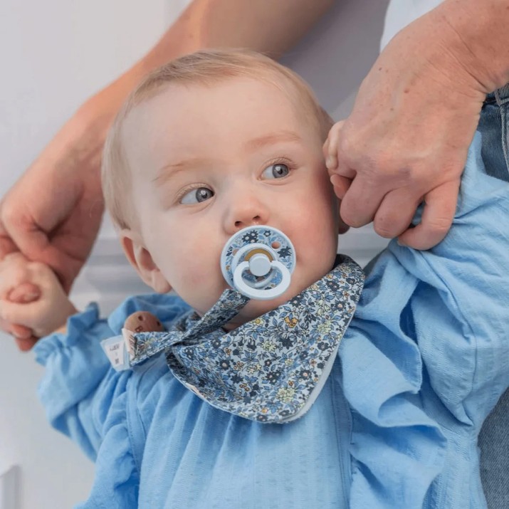 Пустышка BIBS Liberty Colour 2 Pack Capel Dusty Blue Mix 0-6months (11010104)