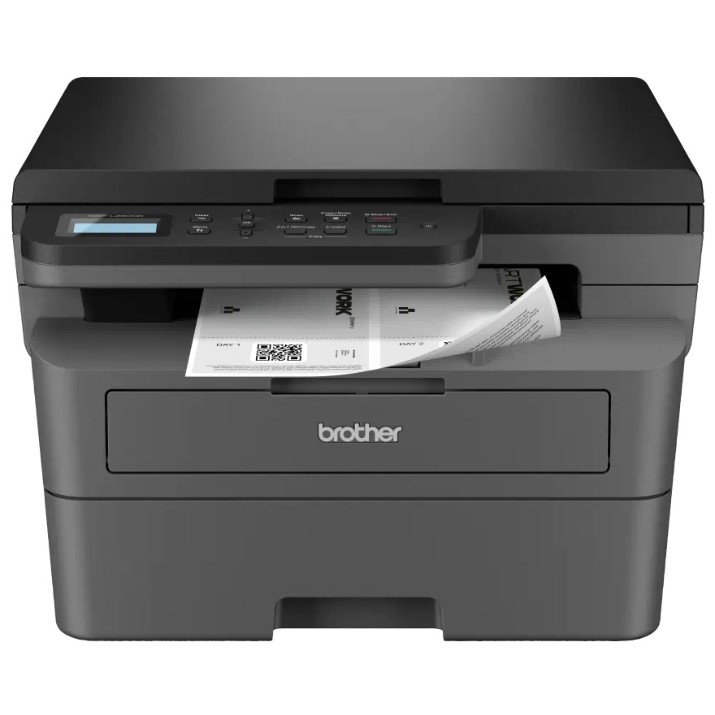 Multifunctional Brother DCP-L2600D