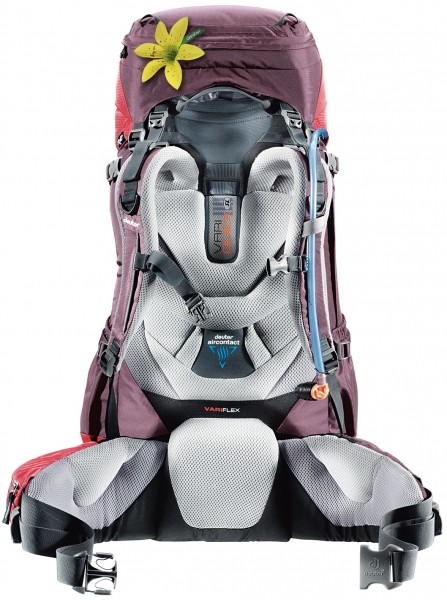 Rucsac Deuter Aircontact 60+10 SL Aubergine-Cranberry