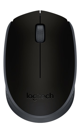 Mouse Logitech M171 Black