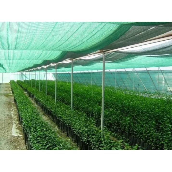 Сетка AnlemaCom 60% 40gr H:4m/100 Green