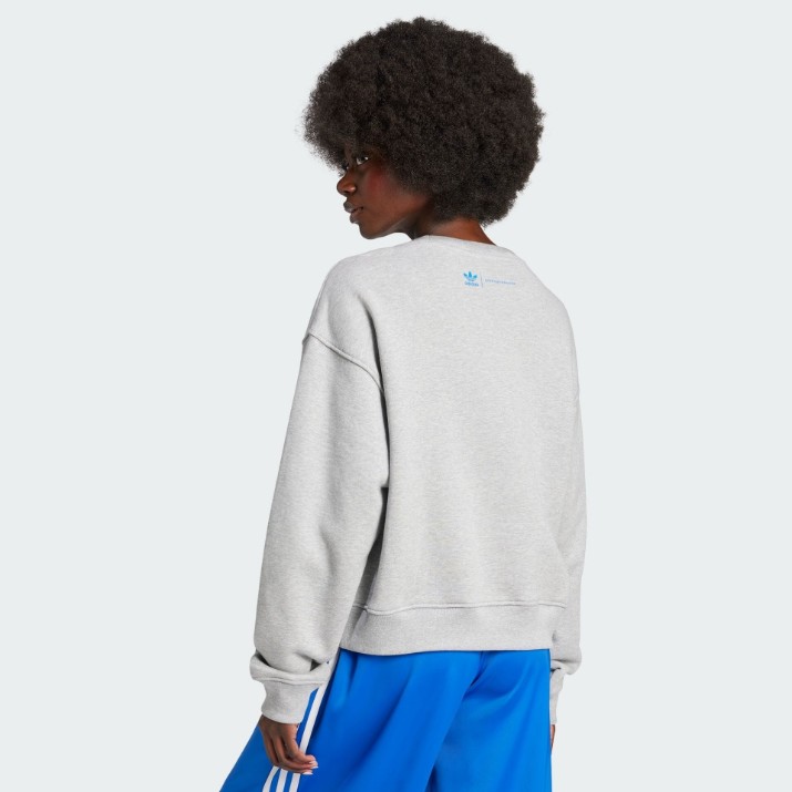 Hanorac damă Adidas Ksenia Tag Swt Medium Grey Heather, s.XS