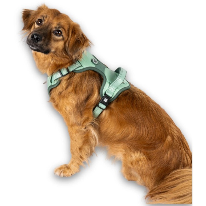 Ham Max & Molly Sport Matrix 2.0 Jade 305063 L