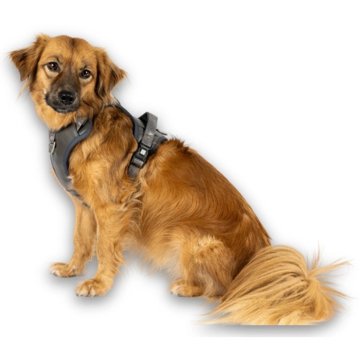 Ham Max & Molly Sport Matrix 2.0 Stone 302062 M