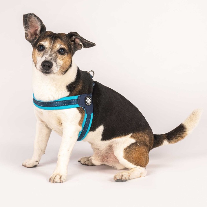 Ham Max & Molly Matrix Sky Blue 215035 XL
