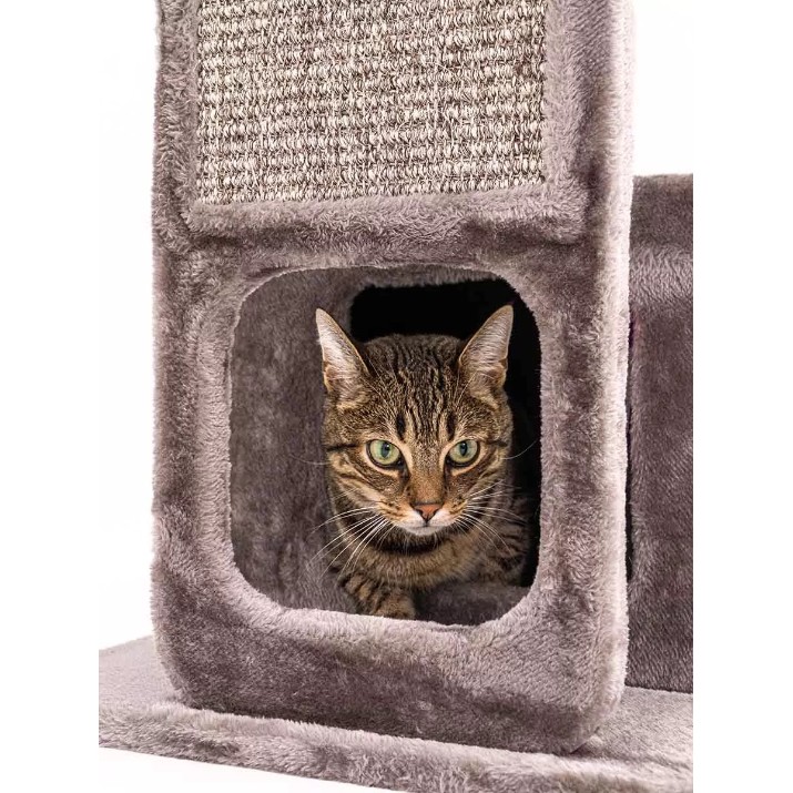 Ansamblu pentru pisici Petrebels Cat Tree Little Rock 99 Cappuccino (431124)