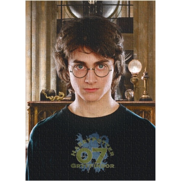 Пазл Dodo 450 Harry Potter (200576)