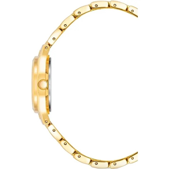 Ceas de mână Anne Klein 10/5490MPGB