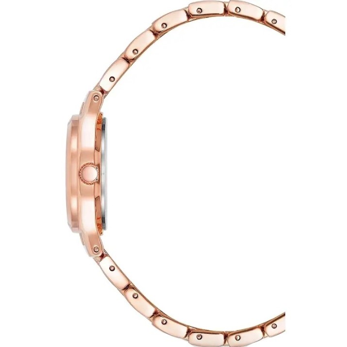 Ceas de mână Anne Klein 10/5490MVRG