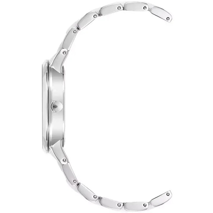 Наручные часы Anne Klein AK/1413IRSV