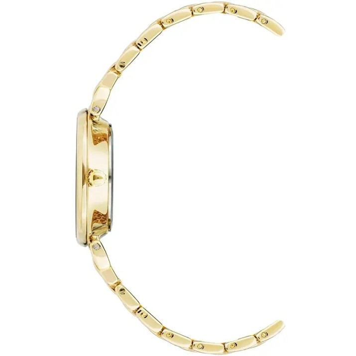 Наручные часы Anne Klein AK/2158BHGB