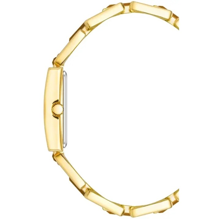 Ceas de mână Anne Klein AK/4156TEGB