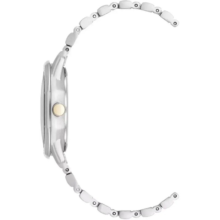 Ceas de mână Anne Klein AK/5029MPTT