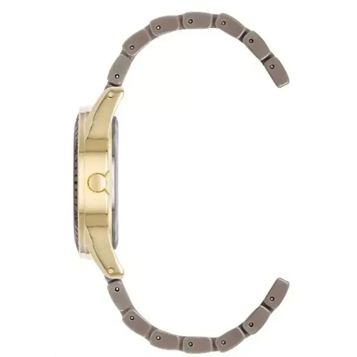 Наручные часы Anne Klein AK/5068GPTP