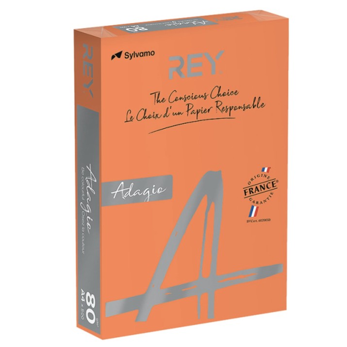 Бумага для печати Rey Adagio Orange 21 Intense (RYADA160X412)