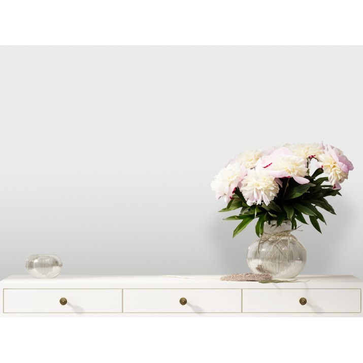 Обои Victoria Stenova 287121 Veronica