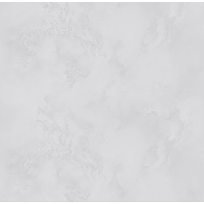 Обои Victoria Stenova 287171 Phantom (11831)
