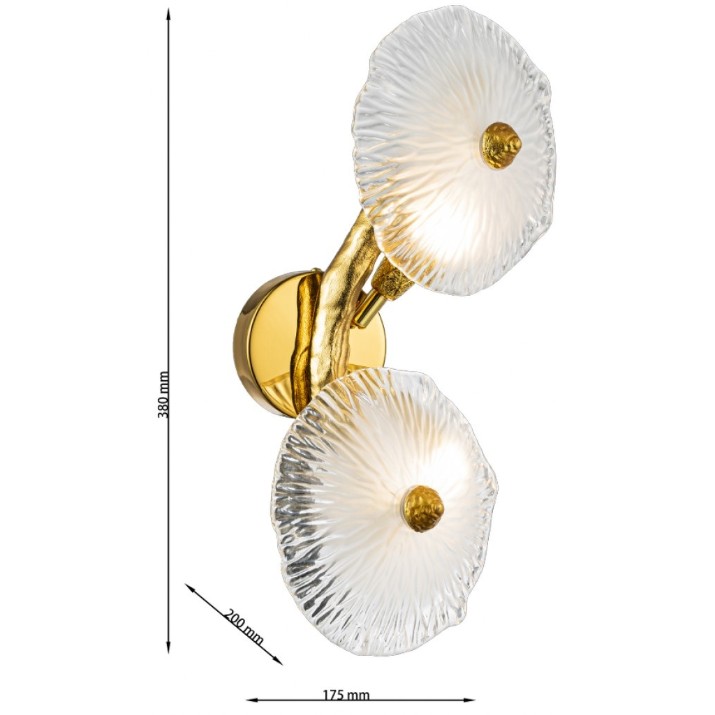 Бра Cellini Grapedrop CLN1005-2W