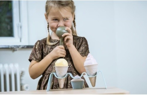 Набор продуктов Dantoy BIO Ice Cream Set (5603D)