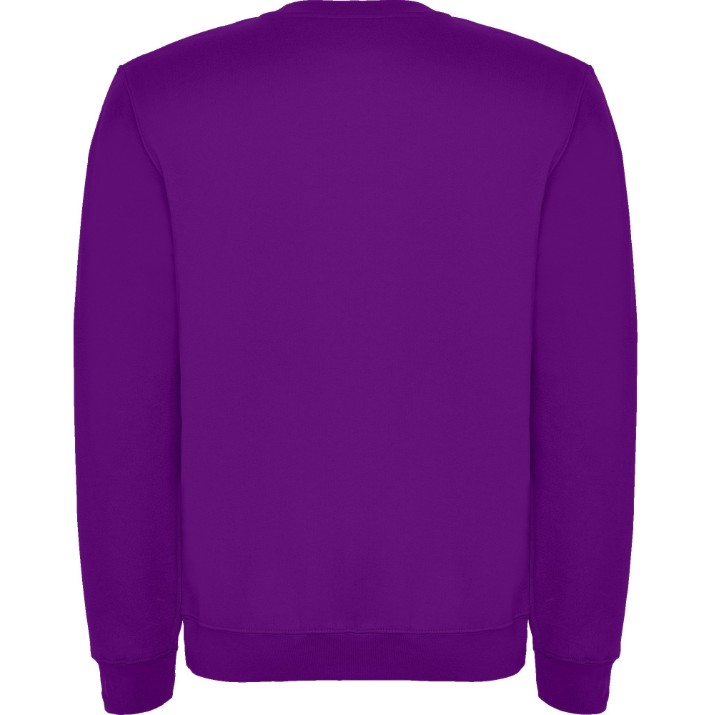 Детская толстовка Roly Clasica 1070 Purple, 11-12 years