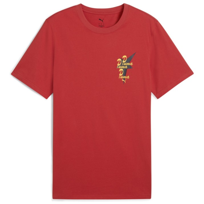 Мужская футболка Puma Wardrobe Ess Road To Unity Graphic Tee Red Fire, s.S