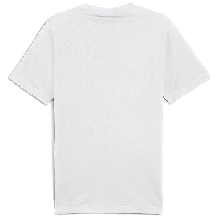 Мужская футболка Puma Graphics Mountain Tee Puma White, s.S (68482802)