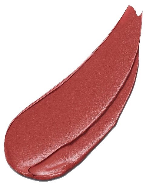 Ruj de buze Estee Lauder Pure Color Explicit Slick Shine Lipstick 110
