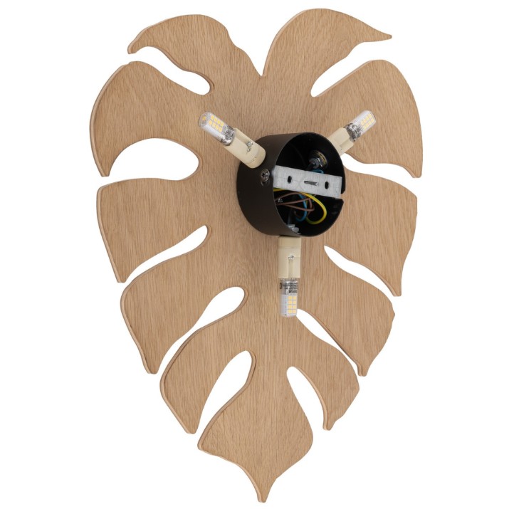 Candelabru de perete Tk-Lighting Monstera 5422