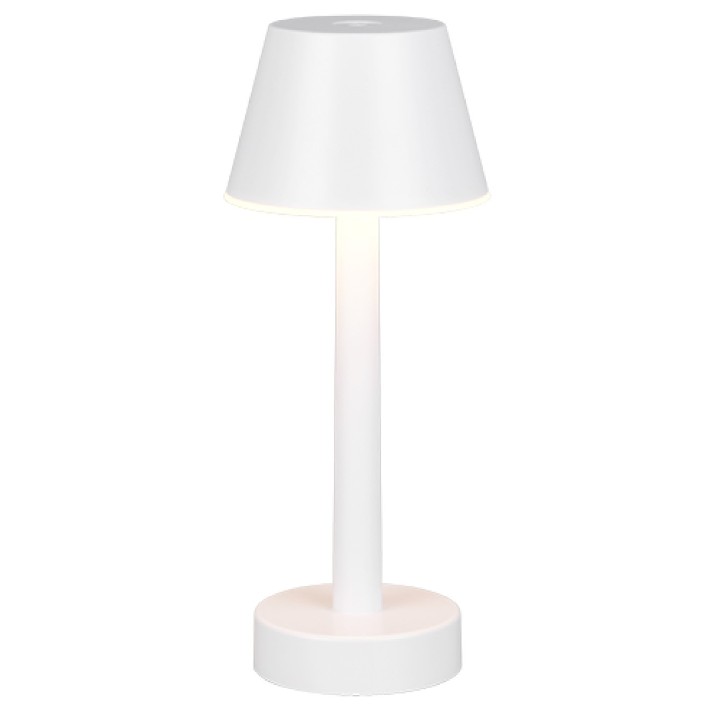 Ночной светильник Trio Vidal (R54991131)