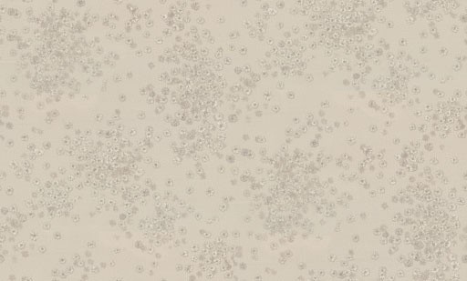 Обои EuroDecor 7282-01 Gherda