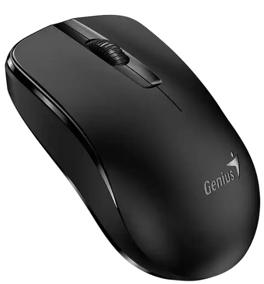 Mouse Genius NX-7000X Black