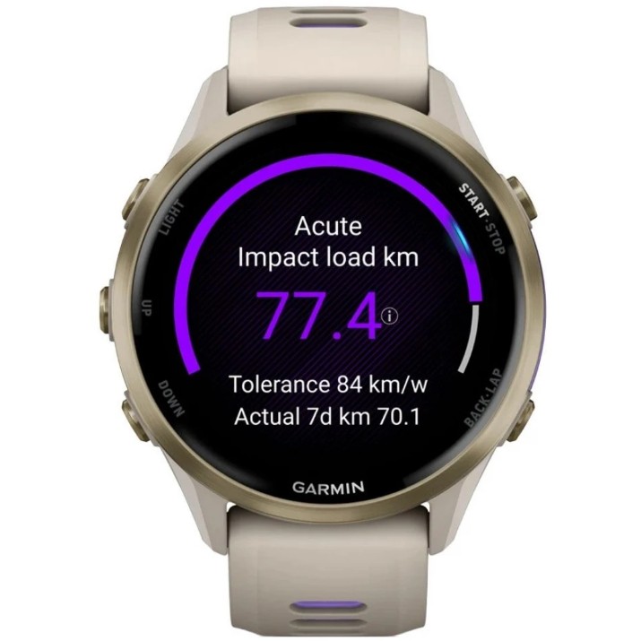 Smartwatch Garmin Forerunner 970 French Grey/translucent Indigo (010-02969-12)
