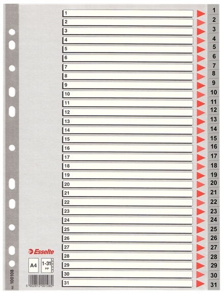 Separator de foi Esselte 1-31 (SL00108)