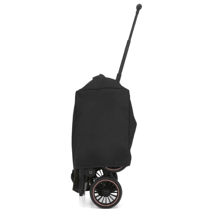 Carucior Cam Compas 200 Rosa (8005549832015)
