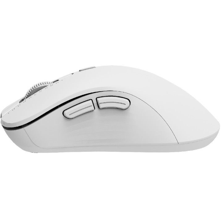 Компьютерная мышь Thunderobot ML101 White