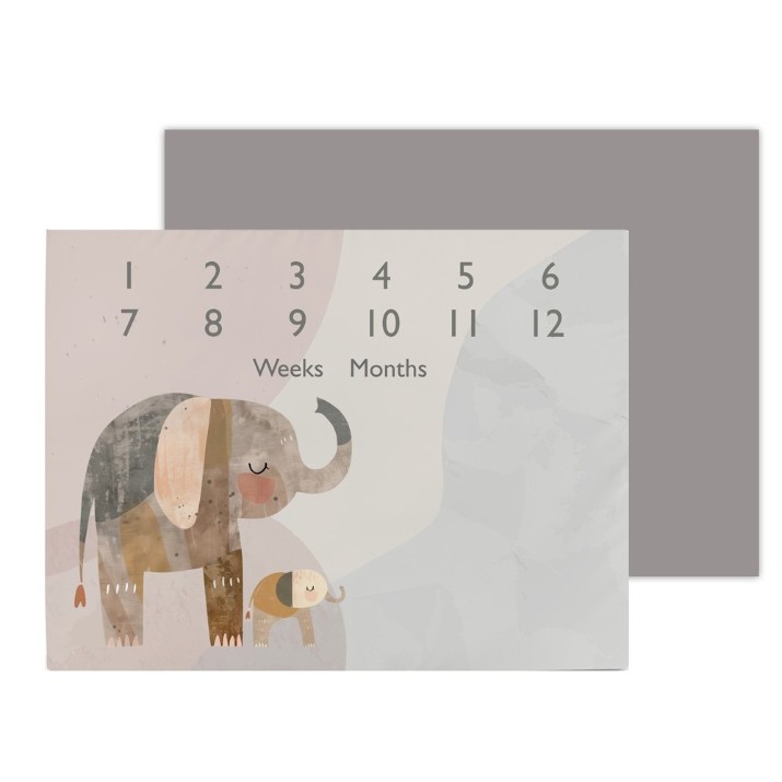 Игровой коврик Ceba Baby Milestone Basic Elephant Family 92x72cm (W-309-000-781)