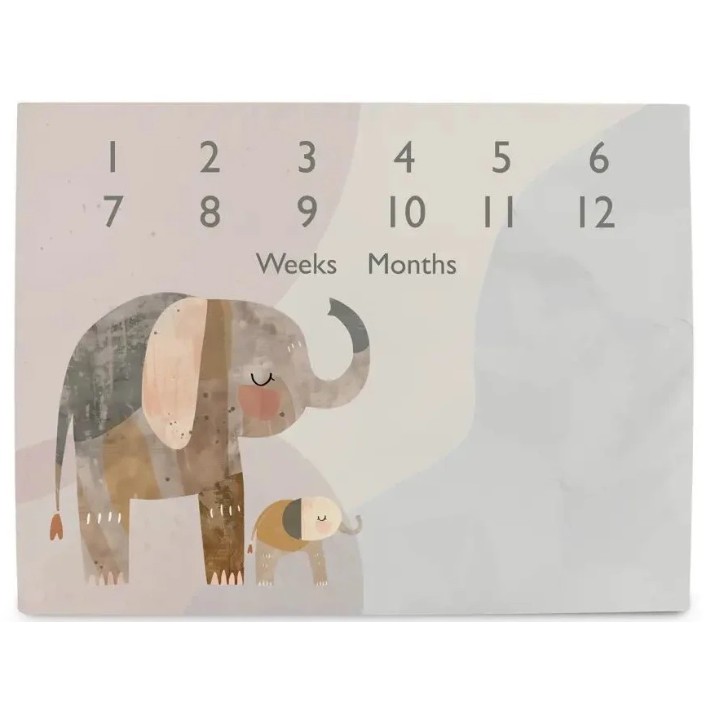 Игровой коврик Ceba Baby Milestone Basic Elephant Family 92x72cm (W-309-000-781)