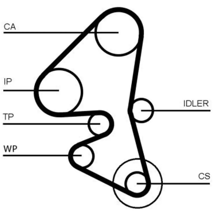 Curea de distribuție Continental CT1162K5