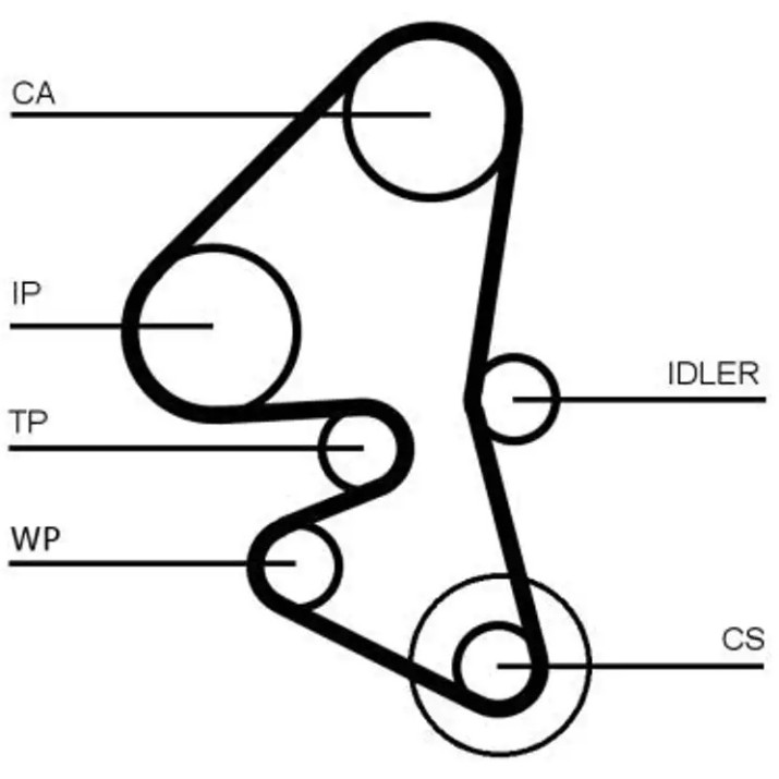 Curea de distribuție Continental CT1162WP5