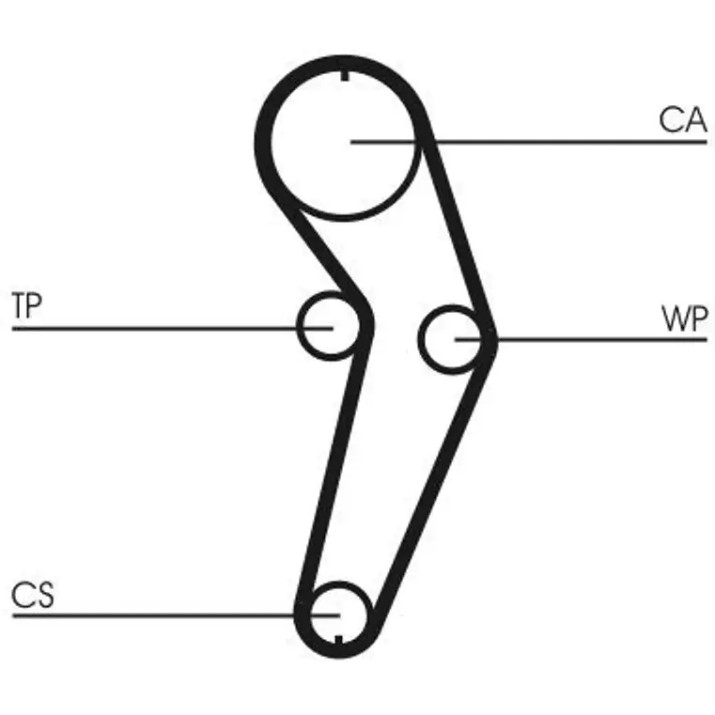 Curea de distribuție Continental CT988WP3