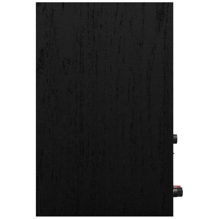 Компьютерные колонки Klipsch R-40PM Black