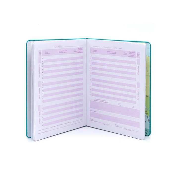 Agenda elevului Idee Light Blue (ID.1733)