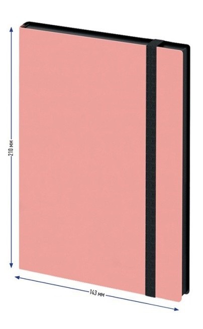 Блокнот Berlingo A5 80p Instinct Flamingo (NB0_91501)
