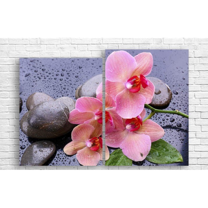 Pictură ArtDesign Orchid 102x70cm (С-10266)