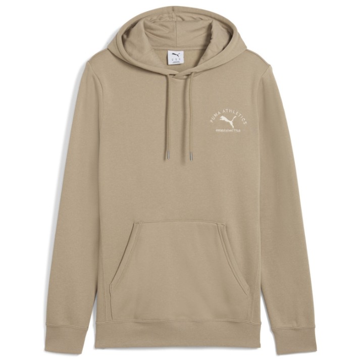 Мужская толстовка Puma Class Graphic Fl Ice Coffee, s.S